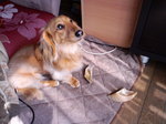 CA3C2376.jpg