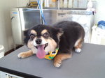 mini_121127_1001.jpg