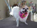 mini_121127_1014.jpg