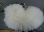 CA3C2605.jpg