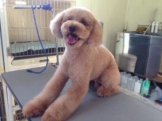 image-20131127111303.png